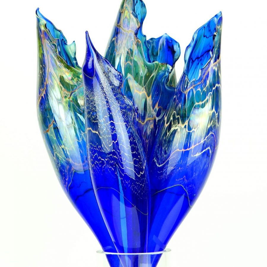 BLUE PITCHER PLANT SINGLE FLOWER